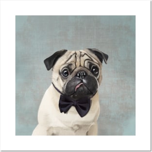 Mr Pug Posters and Art